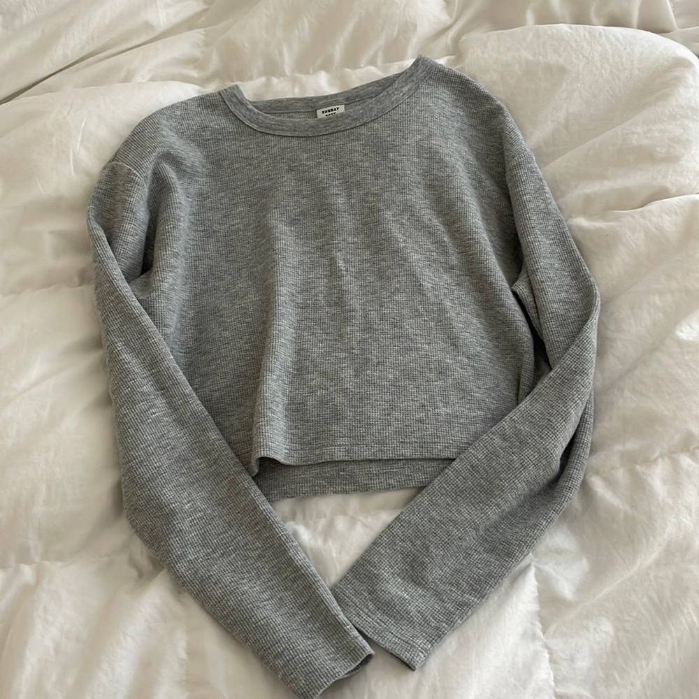 Aritzia Gray Crop Top